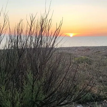Apartment Enrique - Relajate A 3 Min De La Playa Con Jardin Y Padel *