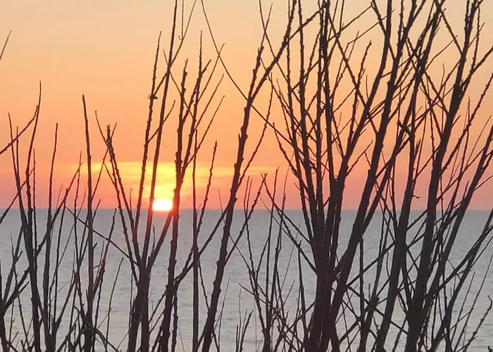 Appartement Enrique - Relajate A 3 Min De La Playa Con Jardin Y Padel *